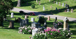 D W Davis Funeral Home